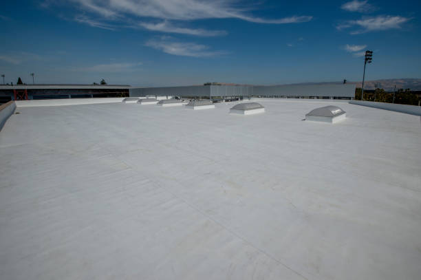 Best Metal Roofing Installation  in Breese, IL