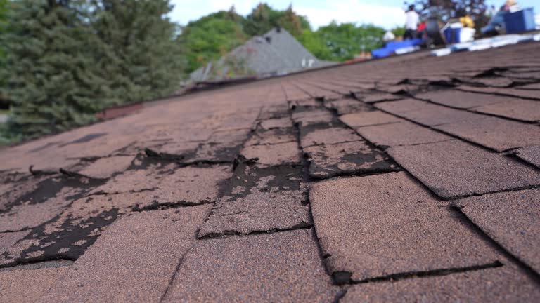 Best Hot Roofs  in Breese, IL